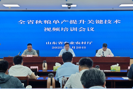 全省秋粮单产提升关键技术视频培训会议在济南召开